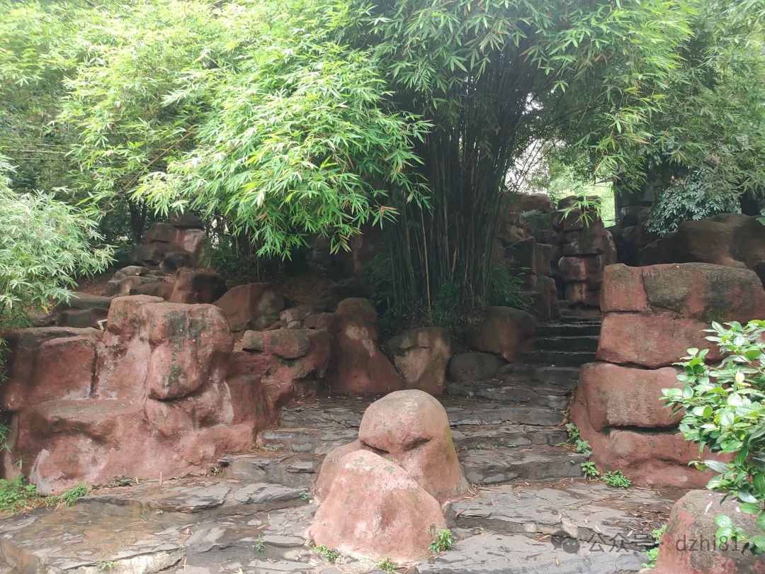 DƬ
